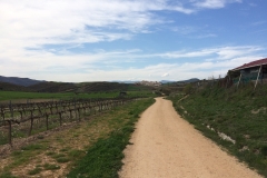 image-18