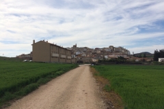image-19