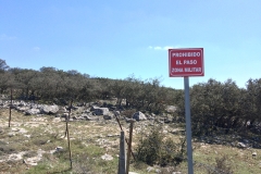 image-61